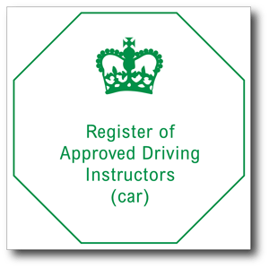 DSA registered driving instructor